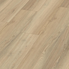 Meister, DD 155 Dryback, Minimal wawe 20190