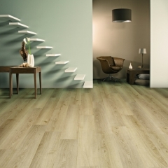Balterio Dolce, 60747 Dub evropský