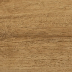Wineo, 600 Wood Click XL, Woodstock Honey