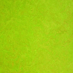 Tilo Linoleová podlaha Lime