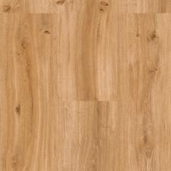 Lico, Ecoline, 9590 Dub královský hnědý