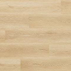 Arbiton, Woodric Acoustic, Dub Holman CWA 182