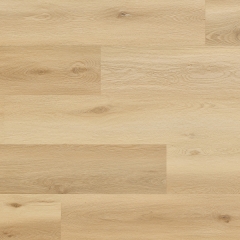 Arbiton, Woodric Eir Acoustic, Dub Highlands CWSA 205