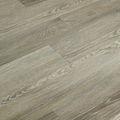 Winflex, Pro 33, 1143 Dub Dallas