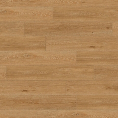 Gerflor, Creation 40 Clic Acoustic, 1706 Aquinoah Honey