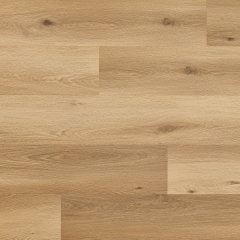 Arbiton, Woodric EIR, Dub Cavaillon CWS 210