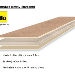 Tilo Marcanto, Dub natur (L1027), V2, olej