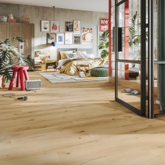 Meister, DD 155 Dryback, Industrial pop 20192