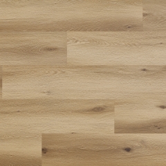 Arbiton, Woodric Eir Acoustic, Dub Garland CWSA 208