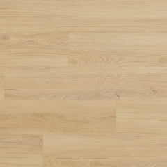 Arbiton, Woodric EIR, Dub Lavant CWS 206