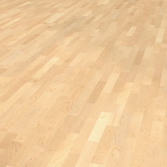 Tilo Třívrstvá parketa Javor kanadský classic lak
