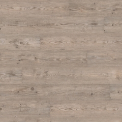 Wineo, 300, Borovice Ascona Grey LA018