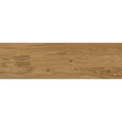 Tilo Porto, Dub natur (F1043), olej