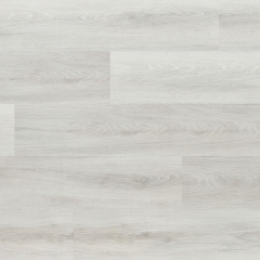 Arbiton, Woodric Acoustic, Dub Whitecreek CWA 175