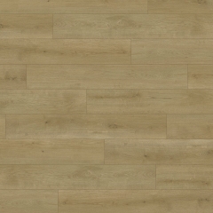 Audacity (SPC), EWH7002 Prairie