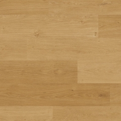 Quick-Step, Blos, Dub pobřežní medový AVSPU40320