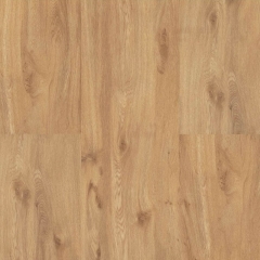 Lico, Ecoline, 9507 Dub noblesní