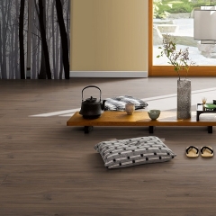 Parador Trendtime 6, Ořech Galant přírodní, zámecká palubka, V4