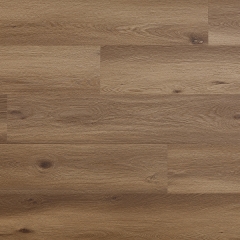 Arbiton, Woodric EIR, Dub Dallas CWS 211