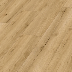 Meister, DD 155 Dryback, Industrial pop 20192