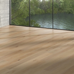 Parador Trendtime 4, Dub clear Living, lak mat, V4
