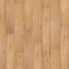 Vepo, Dub letní 5451-3