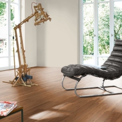 Parador Classic 1050, Jilm lysý medový, 2-pásový