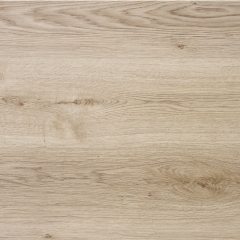 Balterio Dolce, 60747 Dub evropský
