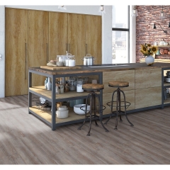 Objectflor, Expona Domestic 40, 5979 Grey Pine