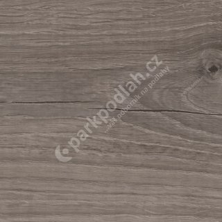 Floor Forever Vinyl Primero Click, 22931 Dub popelavý
