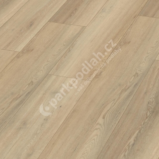 Meister, DD 155 Dryback, Minimal wawe 20190